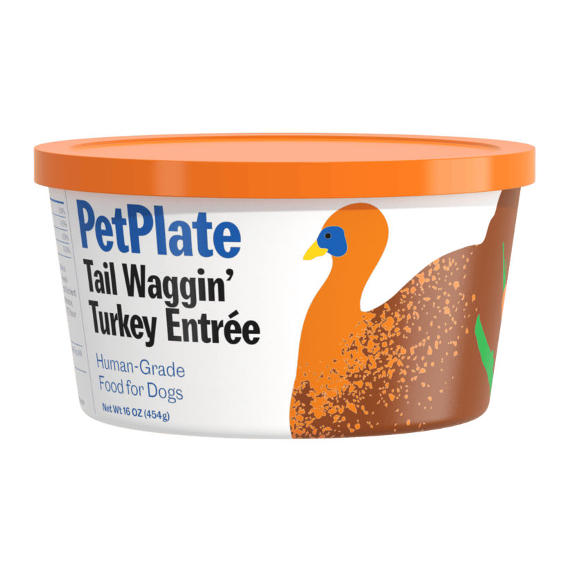 Tail Waggin' Turkey