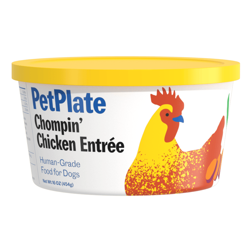 Chompin' Chicken