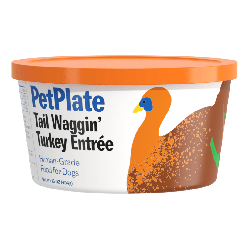 Tail Waggin' Turkey
