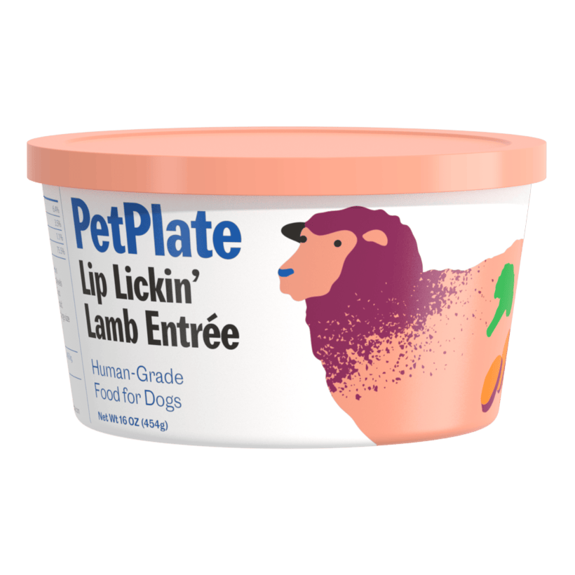 Lip Lickin' Lamb