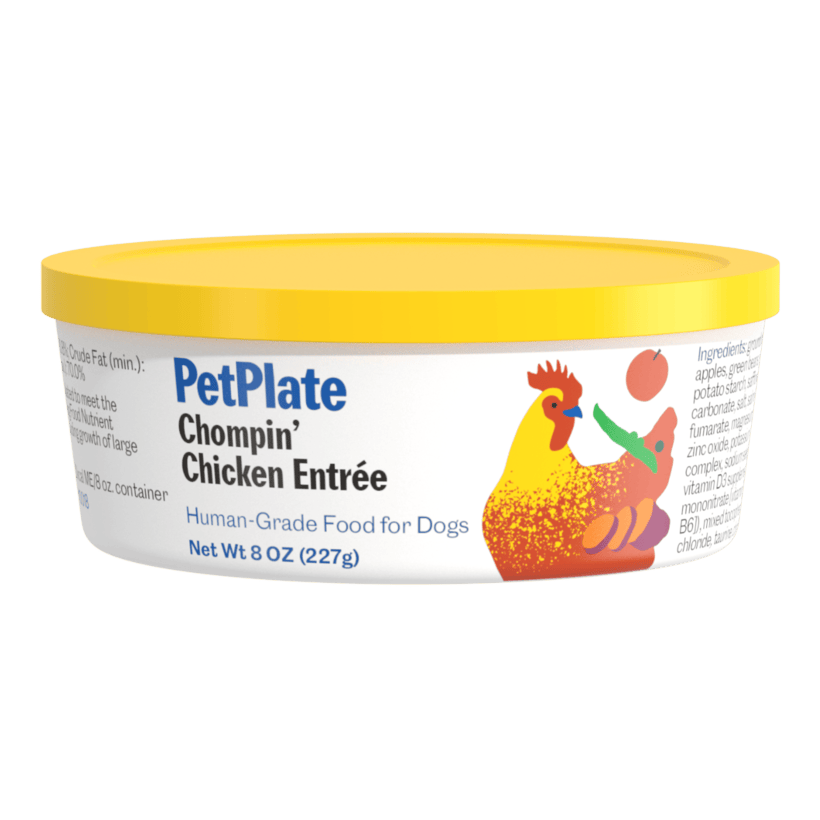 Chompin' Chicken